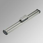 Rodless cylinders Double